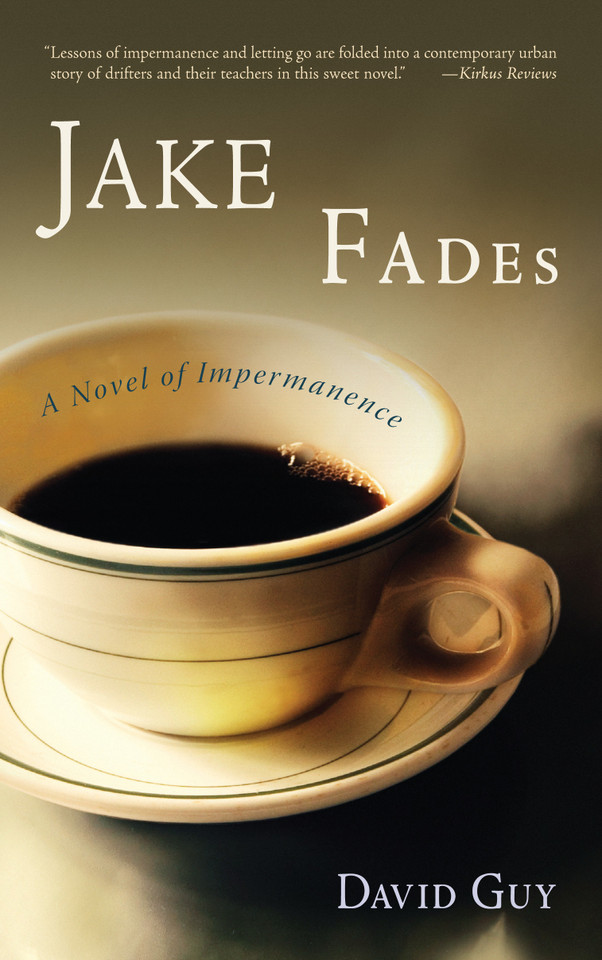 Jake Fades: A Novel of Impermanence book cover by David Guy