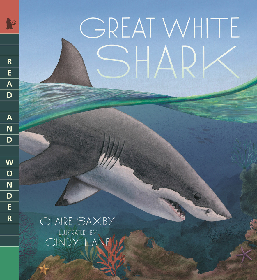 Great White Shark: Read and Wonder (Read and Wonder) book cover by Claire Saxby