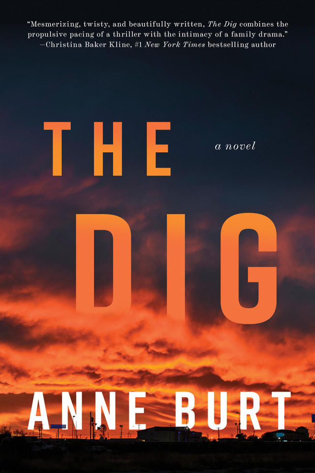 The Dig: A Novel book cover by Anne Burt