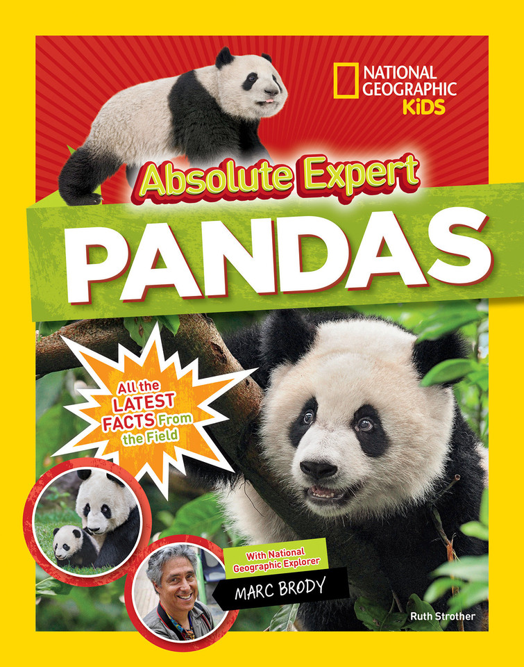 Absolute Expert: Pandas: All the Latest Facts from the Field (Absolute Expert) book cover by Ruth Strother