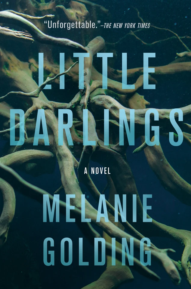 Little Darlings: A Novel book cover by Melanie Golding