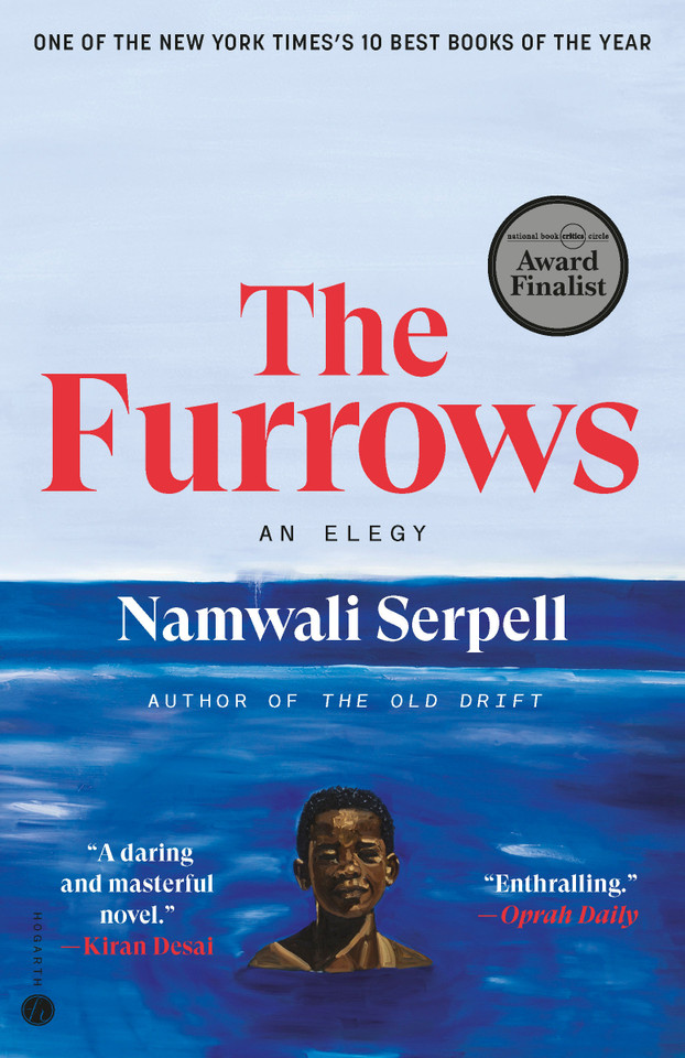 The Furrows: A Novel book cover by Namwali Serpell