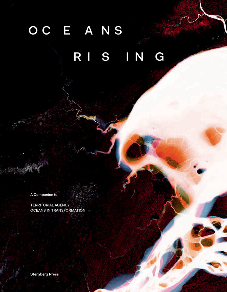 Oceans Rising: A Companion to Territorial Agency: Oceans in Transformation book cover by 