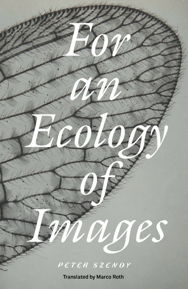 For an Ecology of Images book cover by Peter Szendy