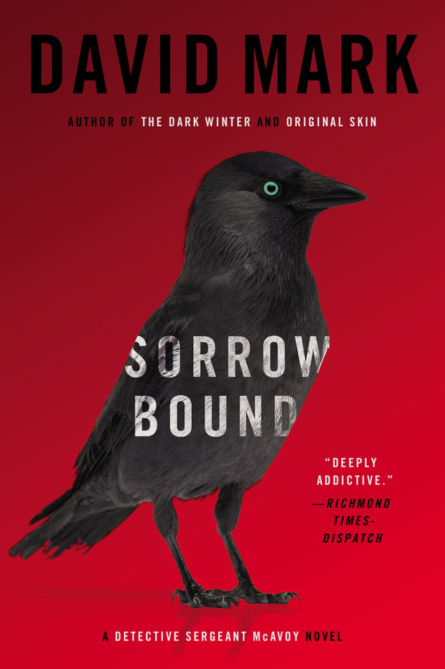 Sorrow Bound: A Detective Sergeant McAvoy Novel (Detective Sergeant McAvoy) book cover by David Mark