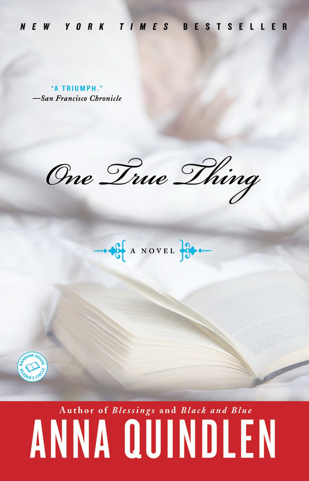 One True Thing: A Novel book cover by Anna Quindlen