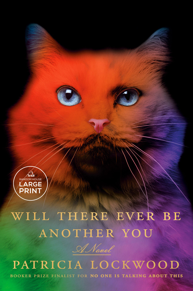 Will There Ever Be Another You: A Novel book cover by Patricia Lockwood