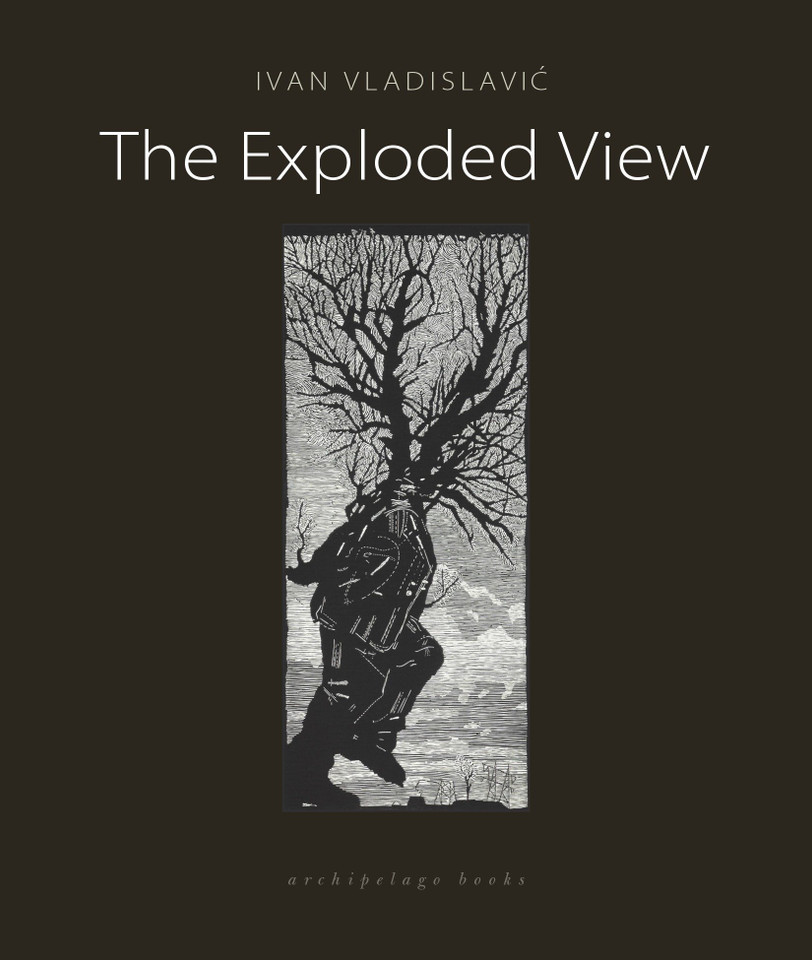 The Exploded View book cover by Ivan Vladislavic