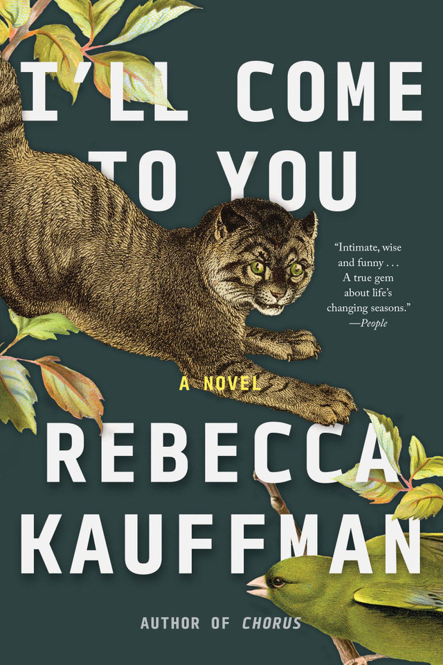 I'll Come to You: A Novel book cover by Rebecca Kauffman