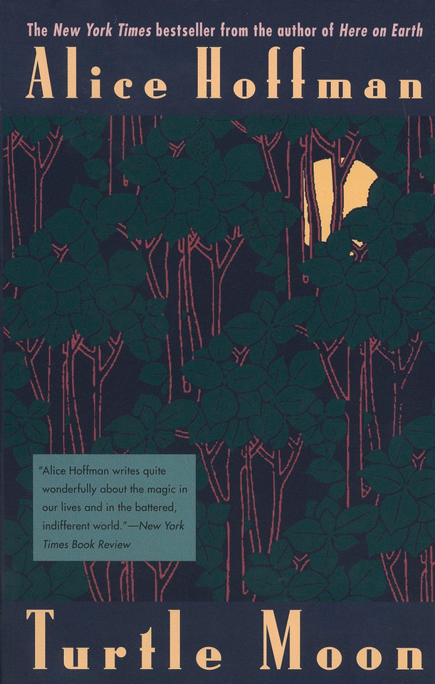 Turtle Moon book cover by Alice Hoffman