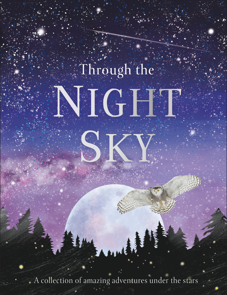 Through the Night Sky: A collection of amazing adventures under the stars (Journey Through) book cover by DK