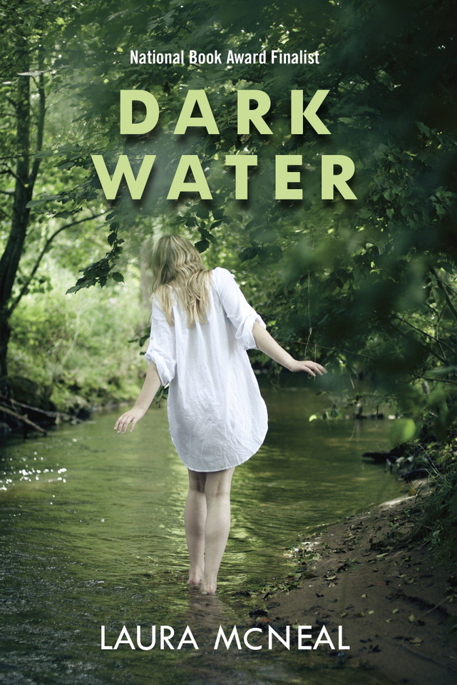 Dark Water book cover by Laura McNeal
