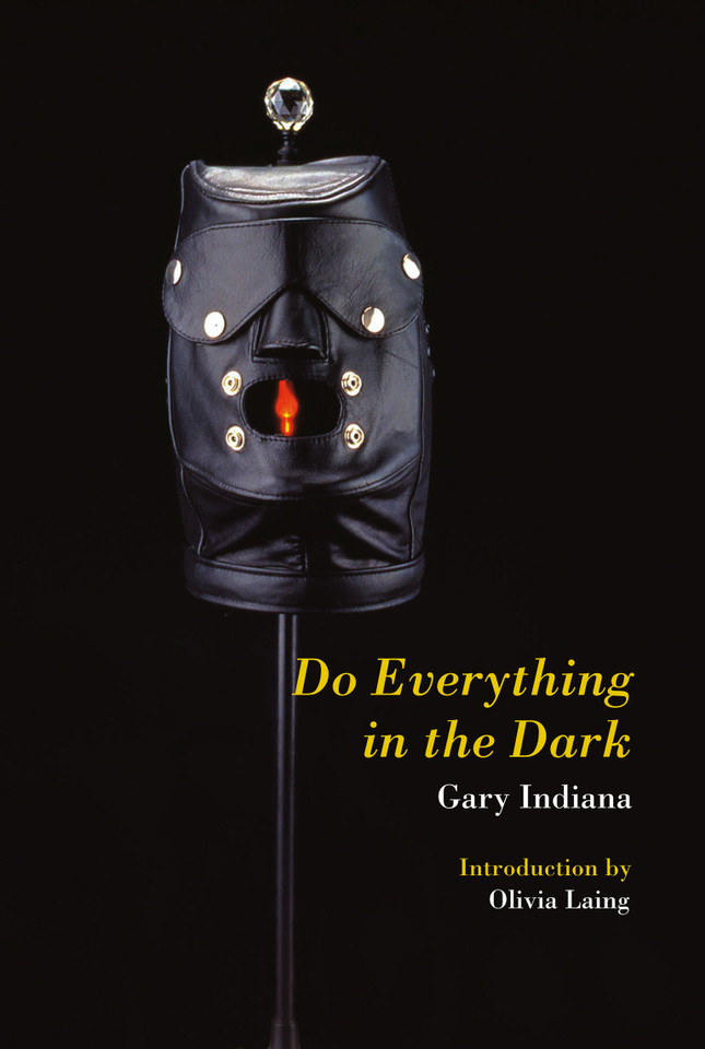 Do Everything in the Dark book cover by Gary Indiana