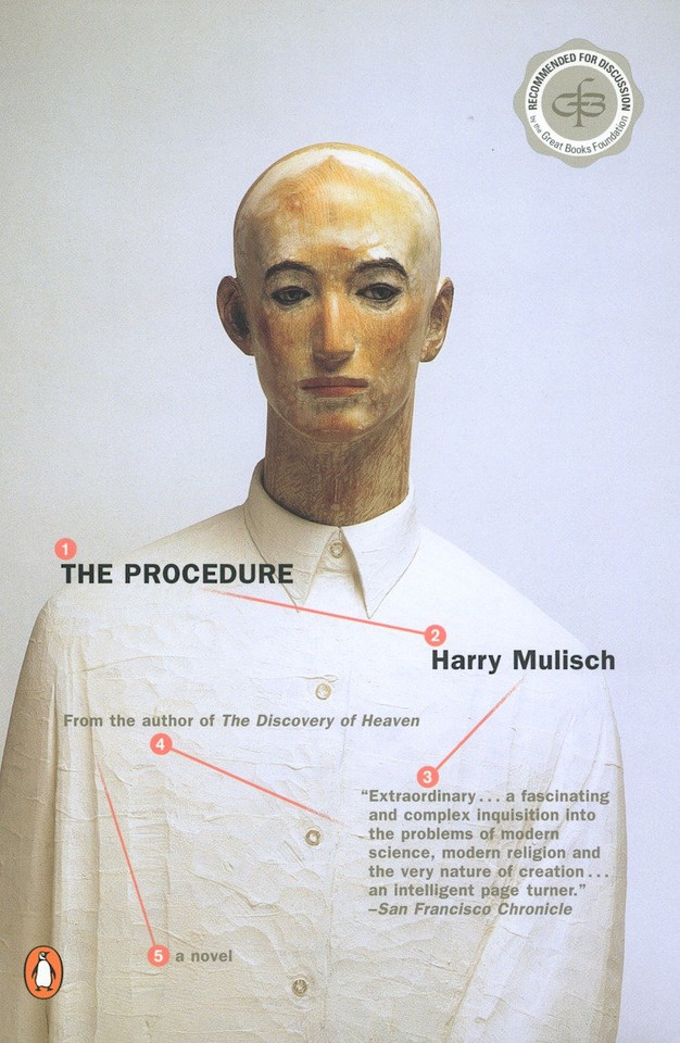 The Procedure book cover by Harry Mulisch