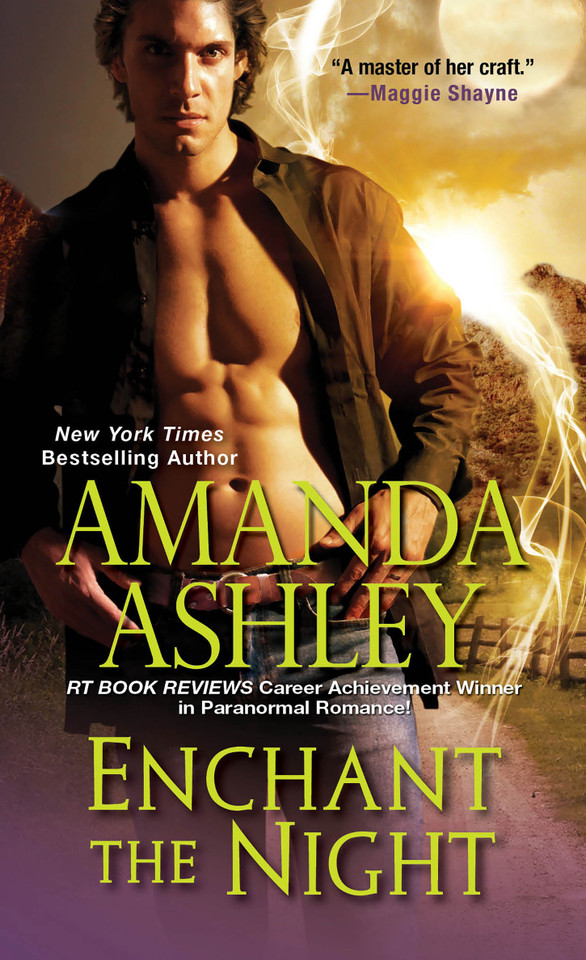 Enchant the Night (The Enchant Series) book cover by Amanda Ashley