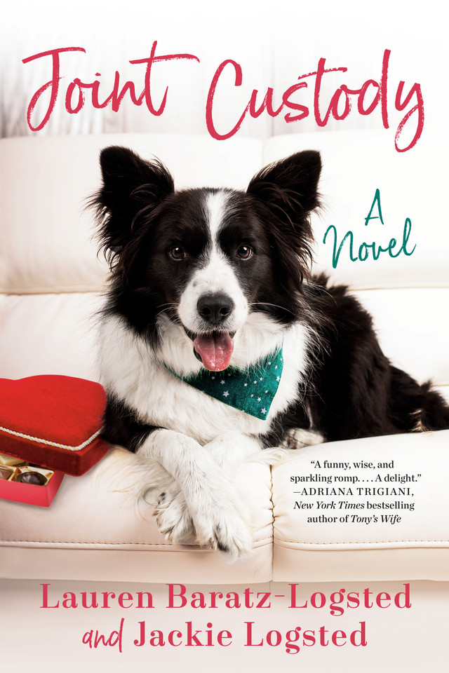 Joint Custody (The Gatz Chronicles) book cover by Lauren Baratz-Logsted, Jackie Logsted