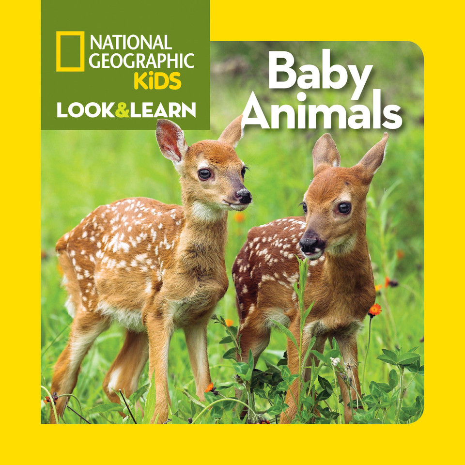 National Geographic Kids Look & Learn: Baby Animals (Look & Learn) book cover by National Geographic Kids
