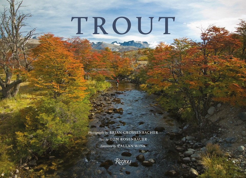Trout book cover by Tom Rosenbauer