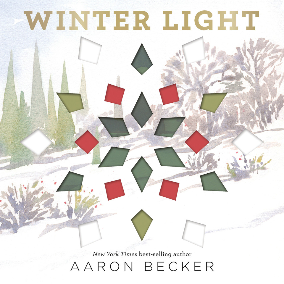 Winter Light book cover by Aaron Becker