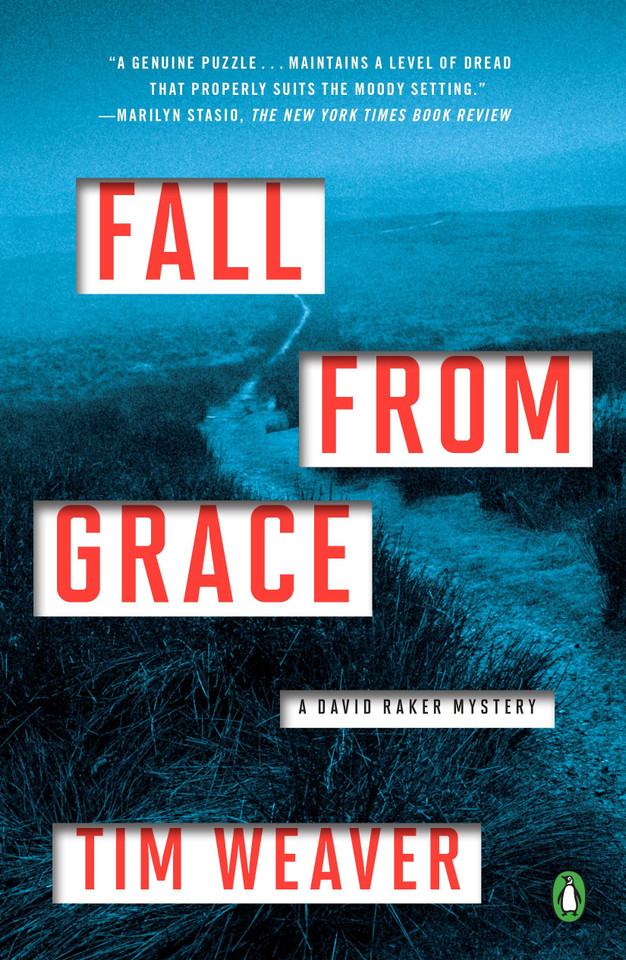 Fall from Grace: A David Raker Mystery (A David Raker Mystery) book cover by Tim Weaver