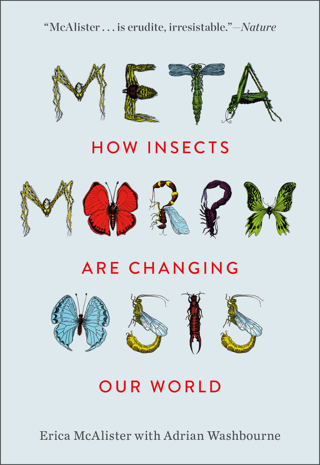 Metamorphosis: How Insects Are Changing Our World book cover by Erica McAlister, Adrian Washbourne