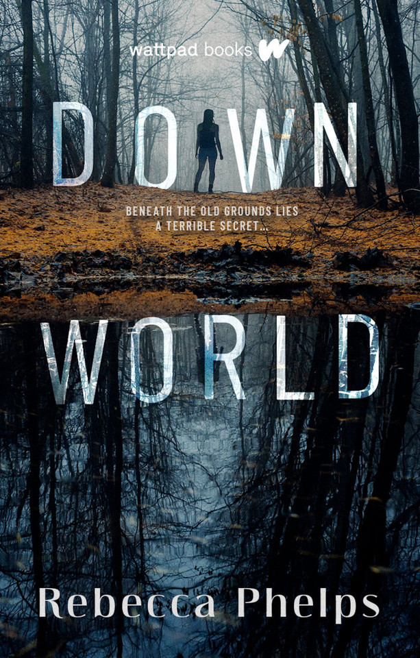 Down World book cover by Rebecca Phelps