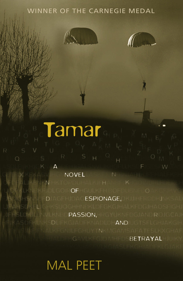 Tamar: A Novel of Espionage, Passion, and Betrayal book cover by Mal Peet