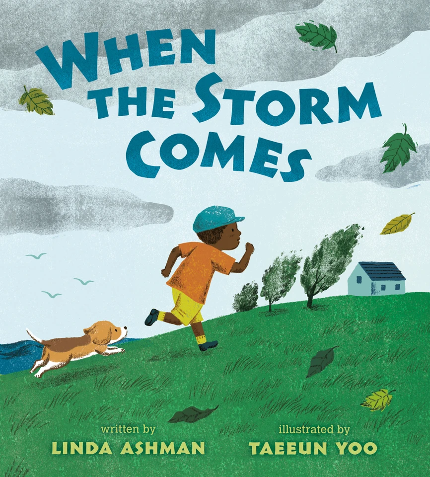When the Storm Comes book cover by Linda Ashman