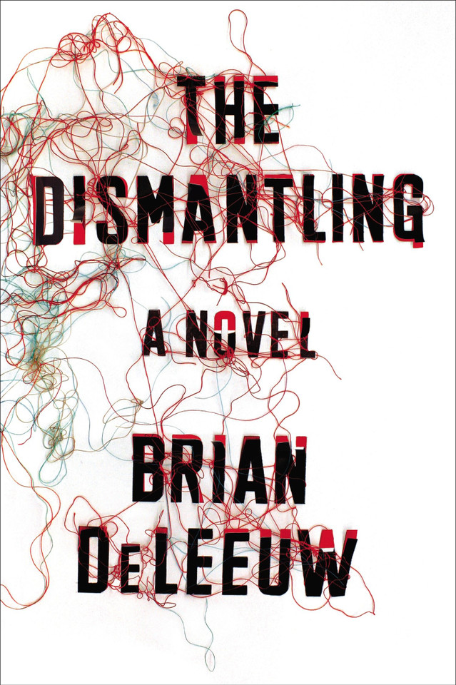 The Dismantling: A Novel book cover by Brian DeLeeuw