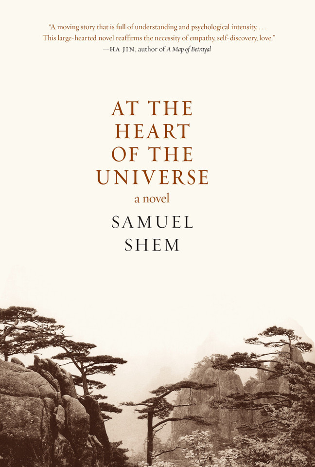 At the Heart of the Universe: A Novel book cover by Samuel Shem