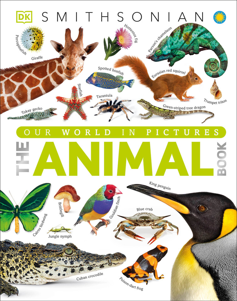 The Animal Book: A Visual Encyclopedia of Life on Earth (DK Our World in Pictures) book cover by David Burnie