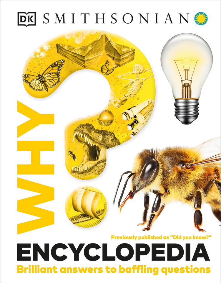 Why? Encyclopedia: Brilliant Answers to Baffling Questions (Why? Series) book cover by DK