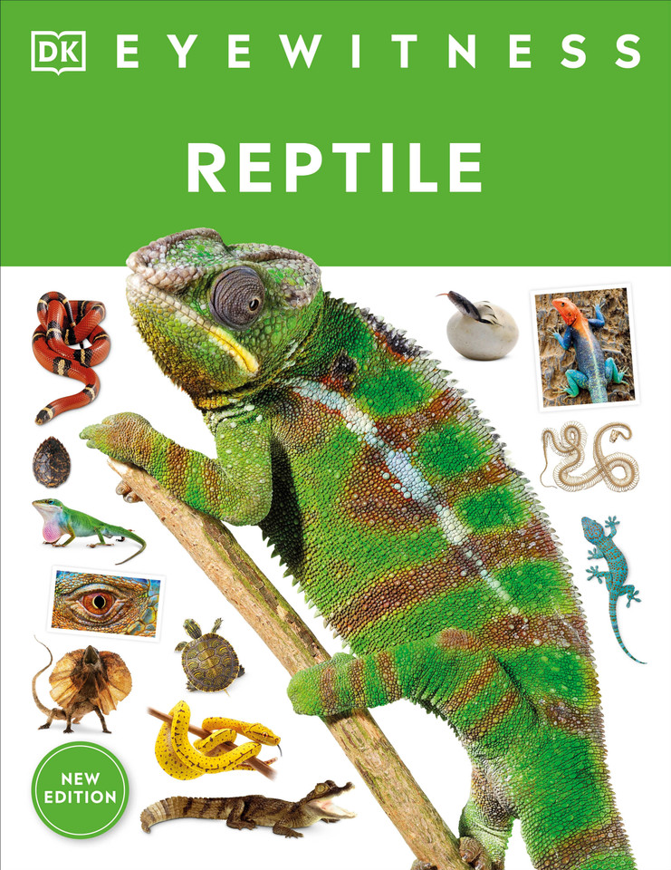 Eyewitness Reptile (DK Eyewitness) book cover by Colin McCarthy