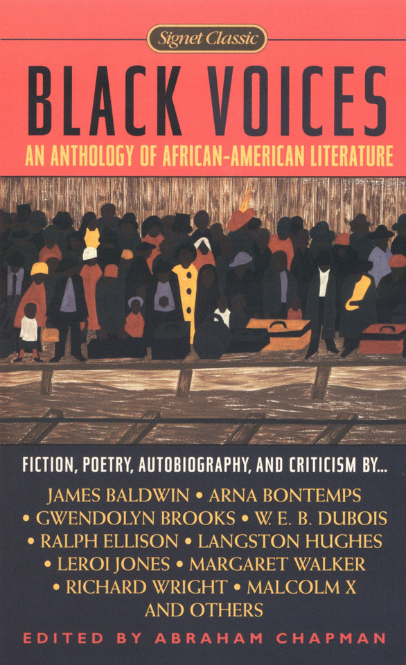 Black Voices book cover by Various