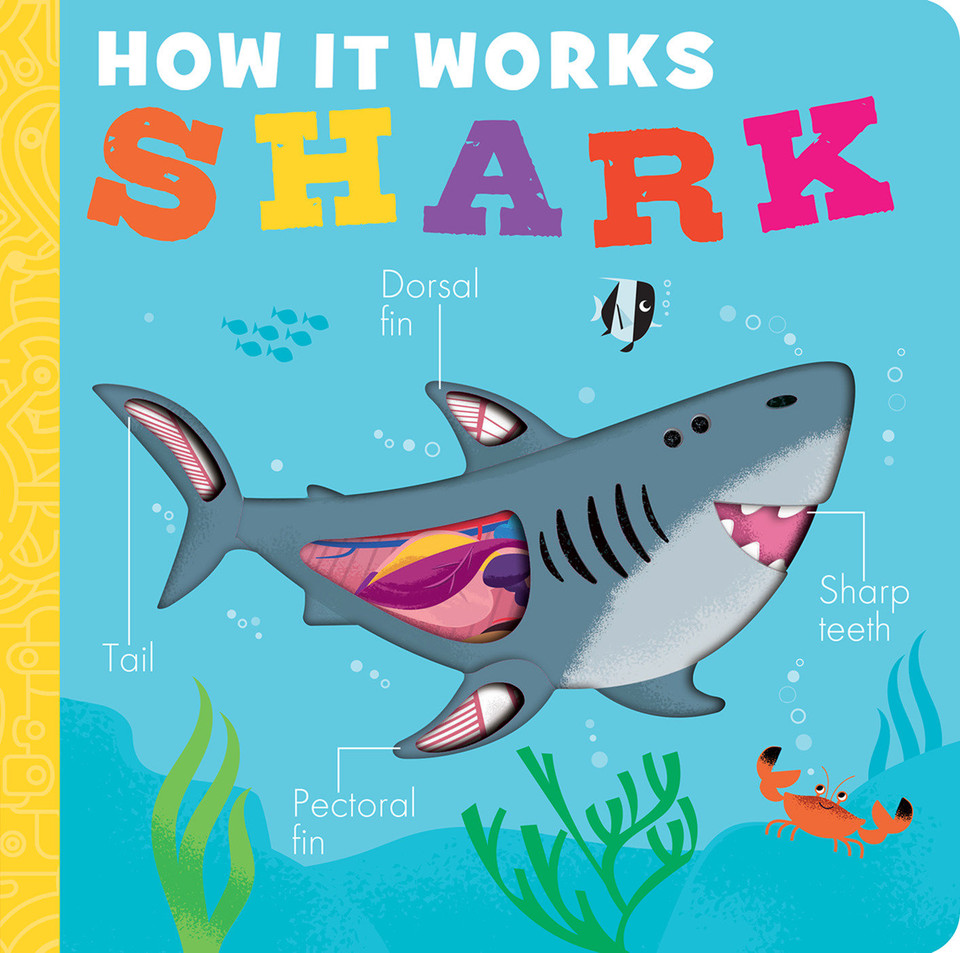 How It Works: Shark (How It Works) book cover by Molly Littleboy