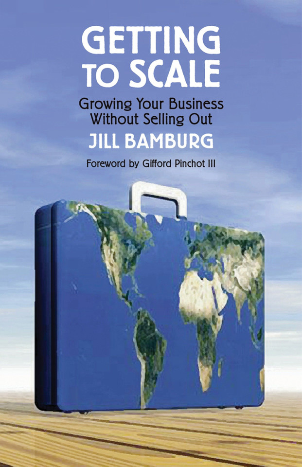 Getting to Scale: Growing Your Business Without Selling Out book cover by Jill Bamburg
