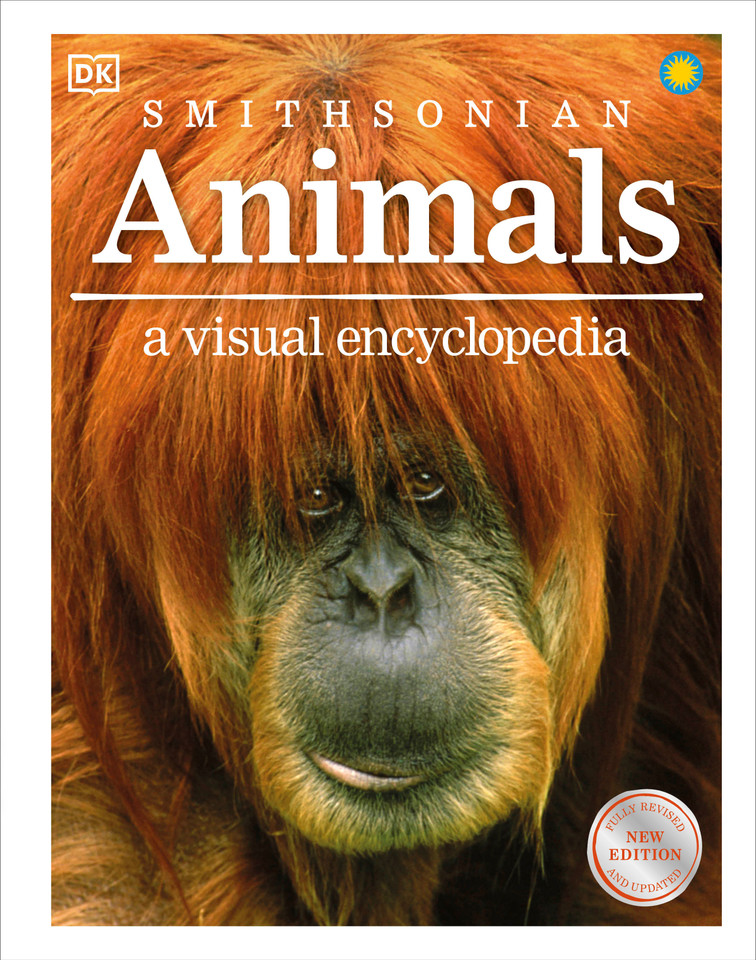 Animals: A Visual Encyclopedia of the Animal Kingdom book cover by DK