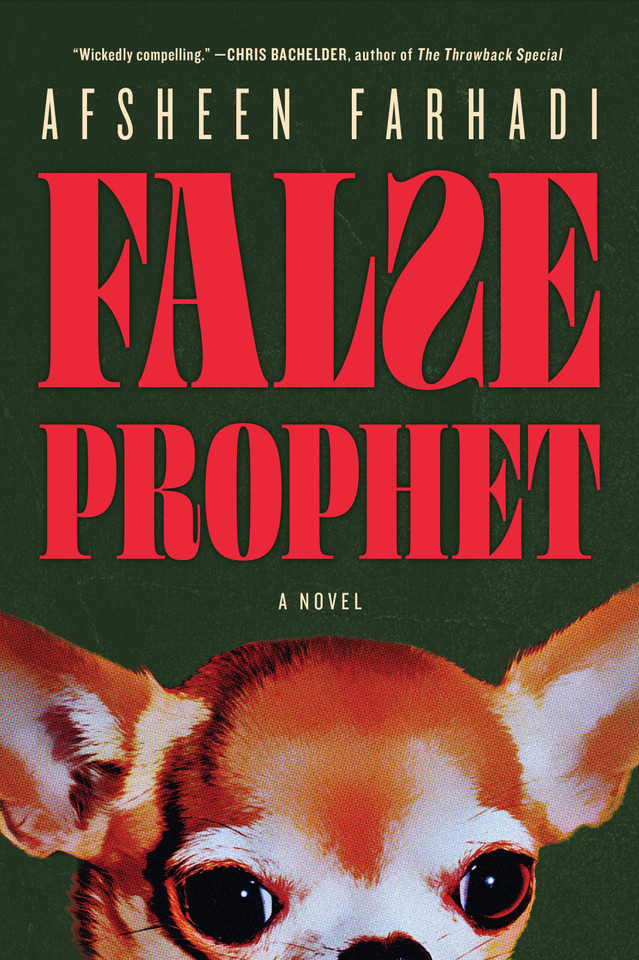 False Prophet book cover by Afsheen Farhadi