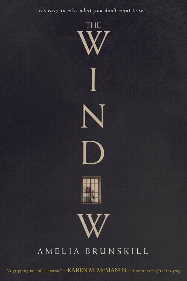 The Window book cover by Amelia Brunskill