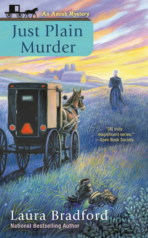 Just Plain Murder (An Amish Mystery) book cover by Laura Bradford