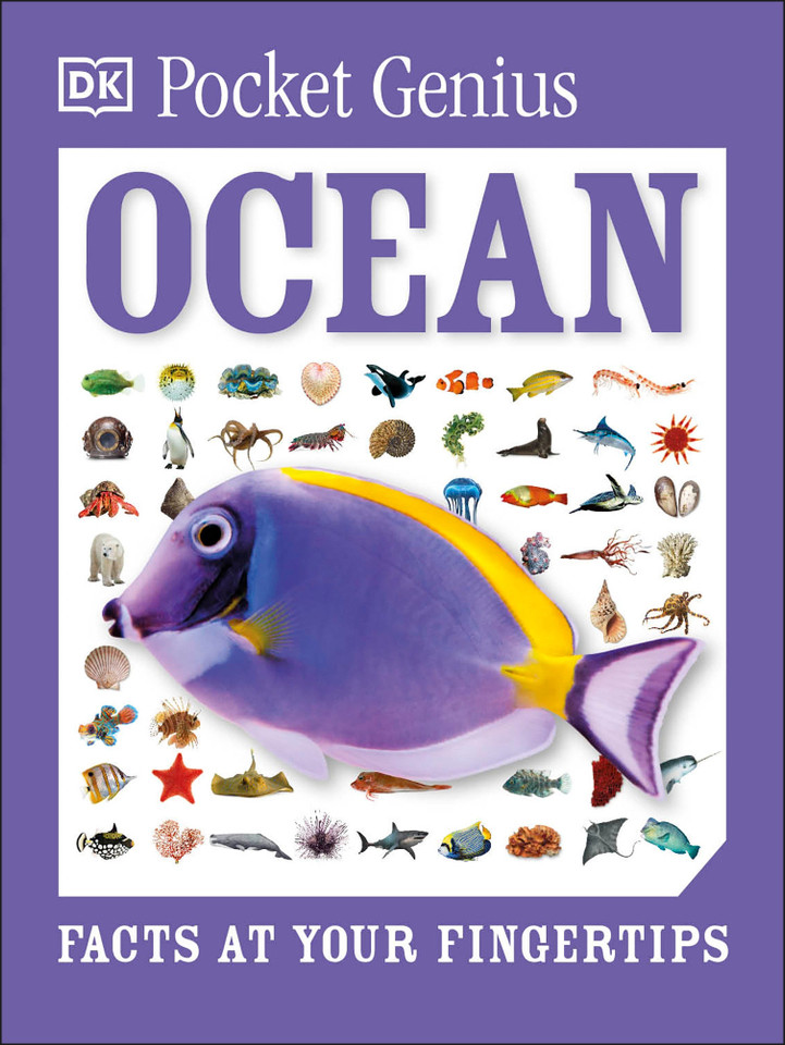 Pocket Genius Ocean (Pocket Genius) book cover by DK