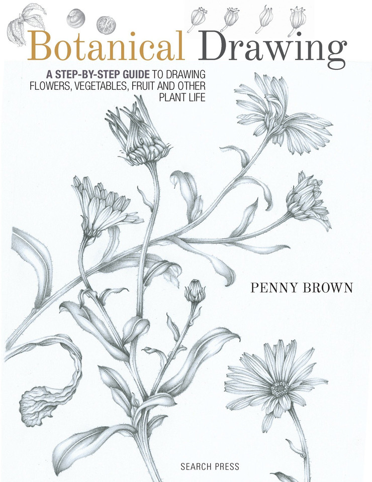 Botanical Drawing: A Step-by-Step Guide to Drawing Flowers, Vegetables, Fruit and other Plant Life book cover by Penny Brown
