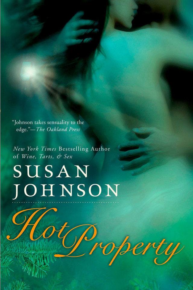Hot Property book cover by Susan Johnson