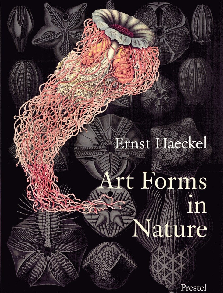 Art Forms in Nature: The Prints of Ernst Haeckel book cover by 