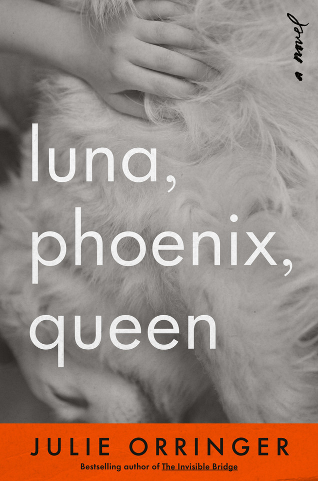 Luna, Phoenix, Queen: A Novel book cover by Julie Orringer