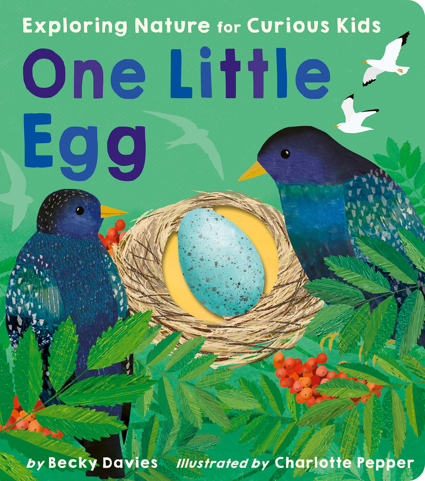 One Little Egg: Exploring Nature for Curious Kids (One Little) book cover by Becky Davies