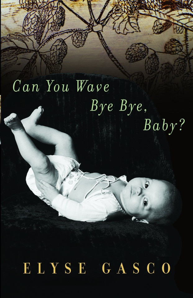 Can You Wave Bye Bye, Baby? book cover by Elyse Gasco