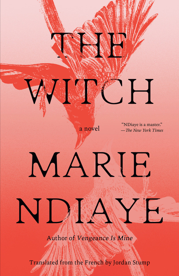 The Witch: A Novel book cover by Marie NDiaye