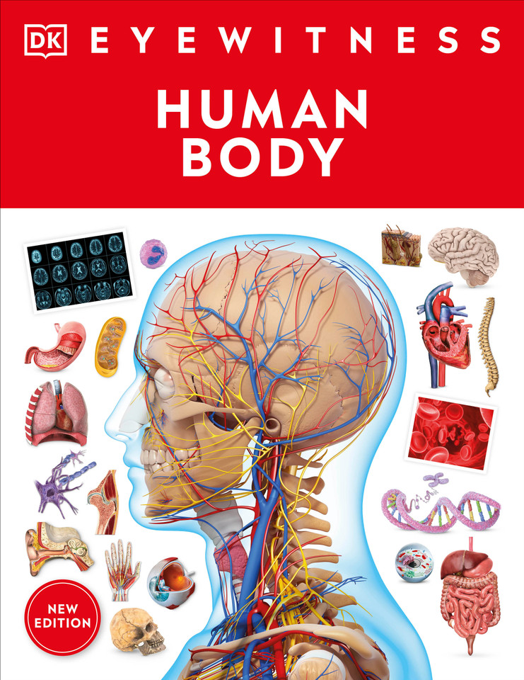 Eyewitness Human Body (DK Eyewitness) book cover by DK