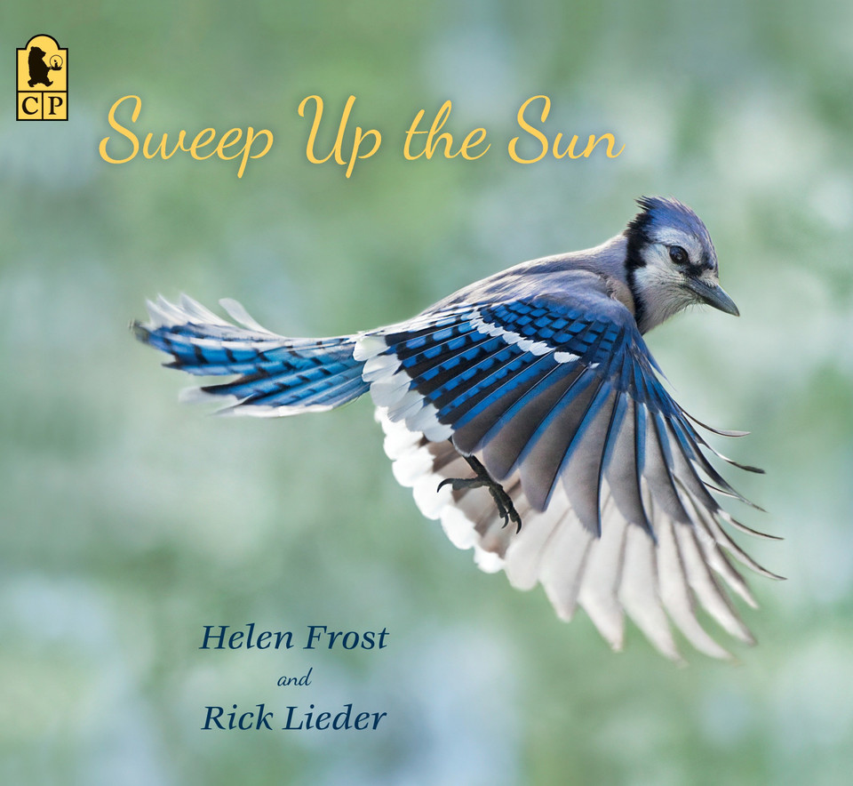 Sweep Up the Sun (Step Gently, Look Closely) book cover by Helen Frost